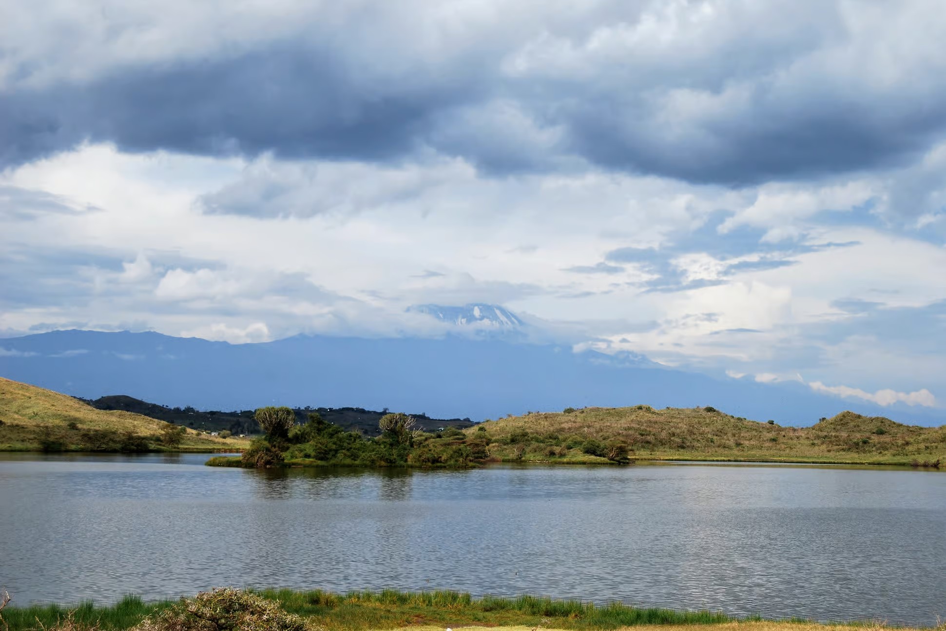 1 Day Arusha National Park Safari