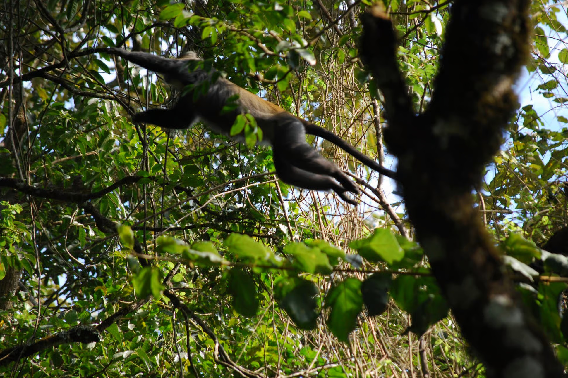 1 Day Arusha National Park Safari