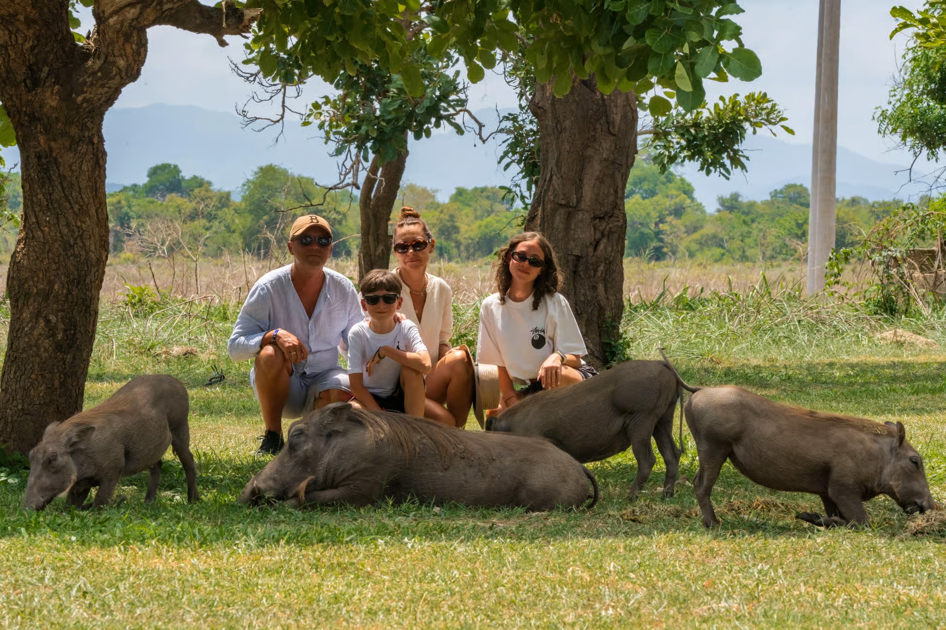 1 Day Mikumi National Park Flying Safari