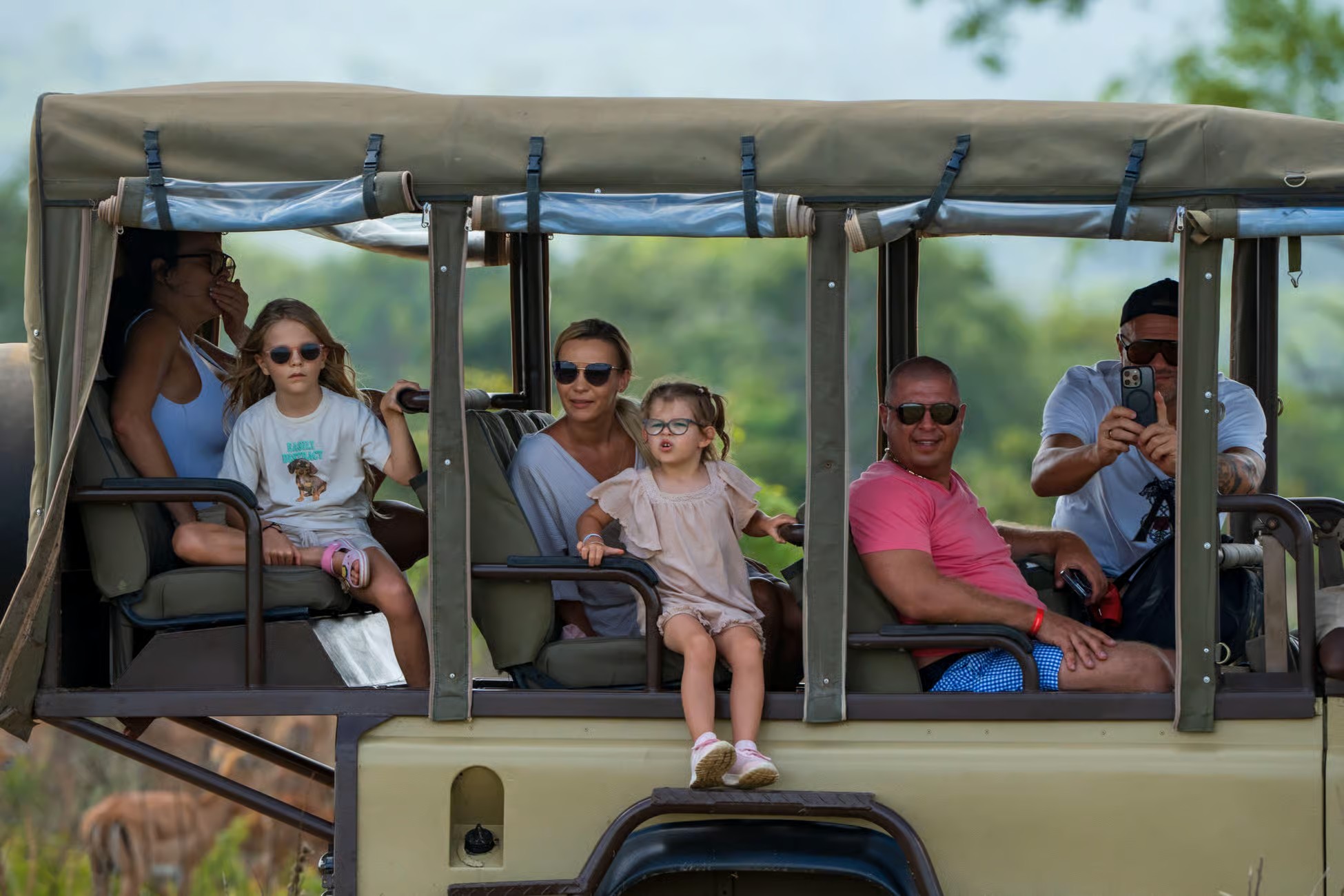 1 Day Mikumi National Park Flying Safari