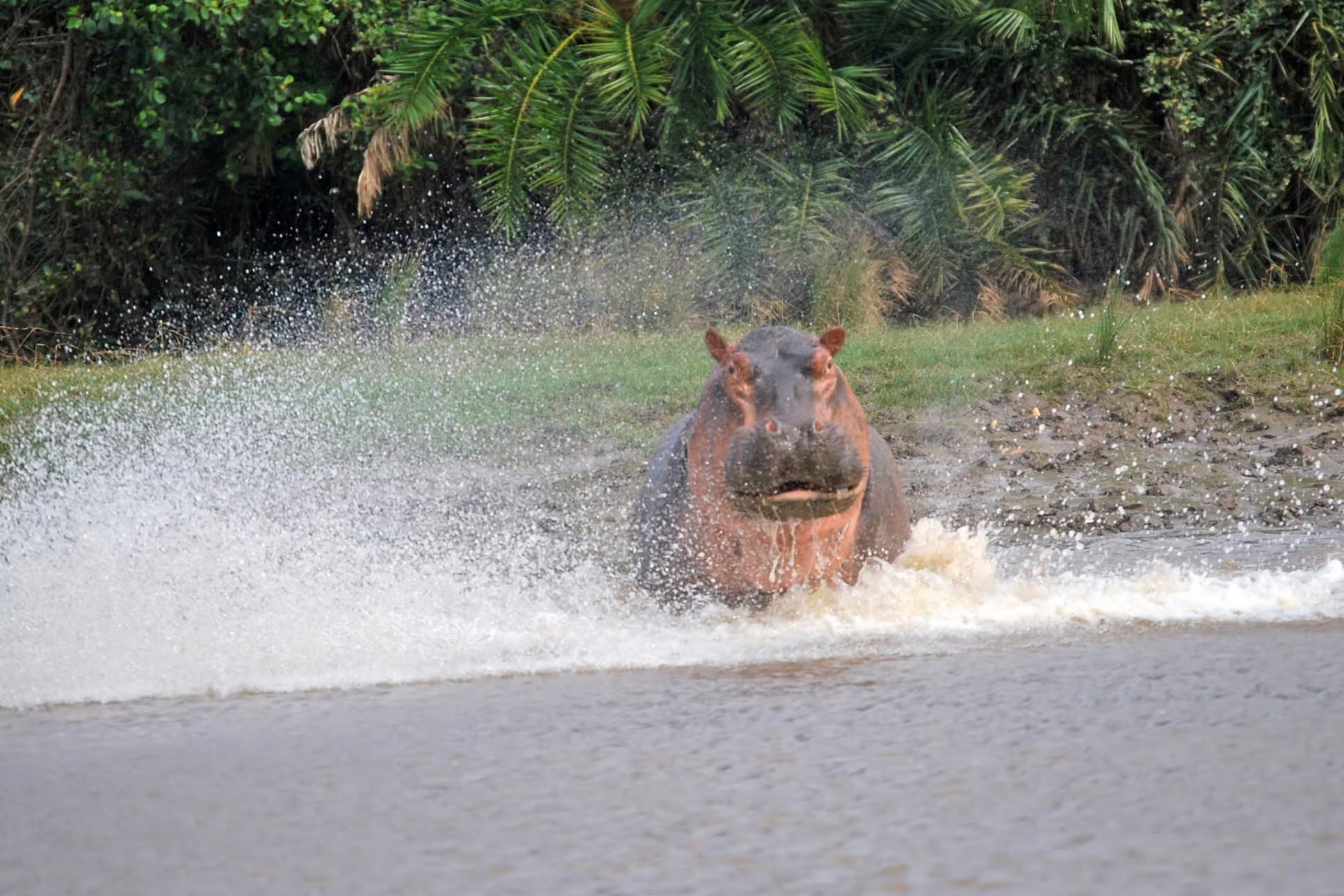 1 Day Saadani Safari by Water