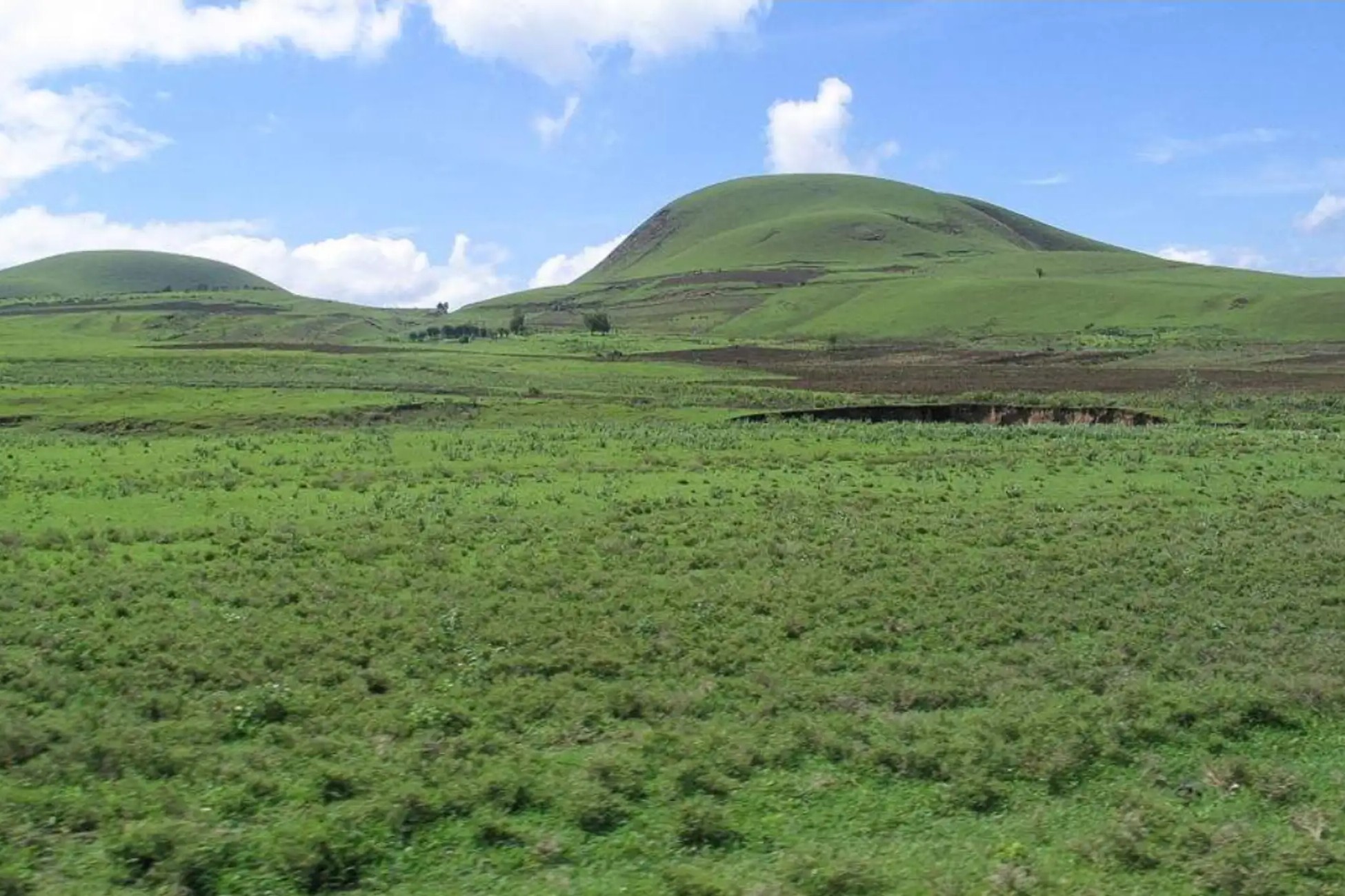 1 Day Safari to Mkomazi National Park