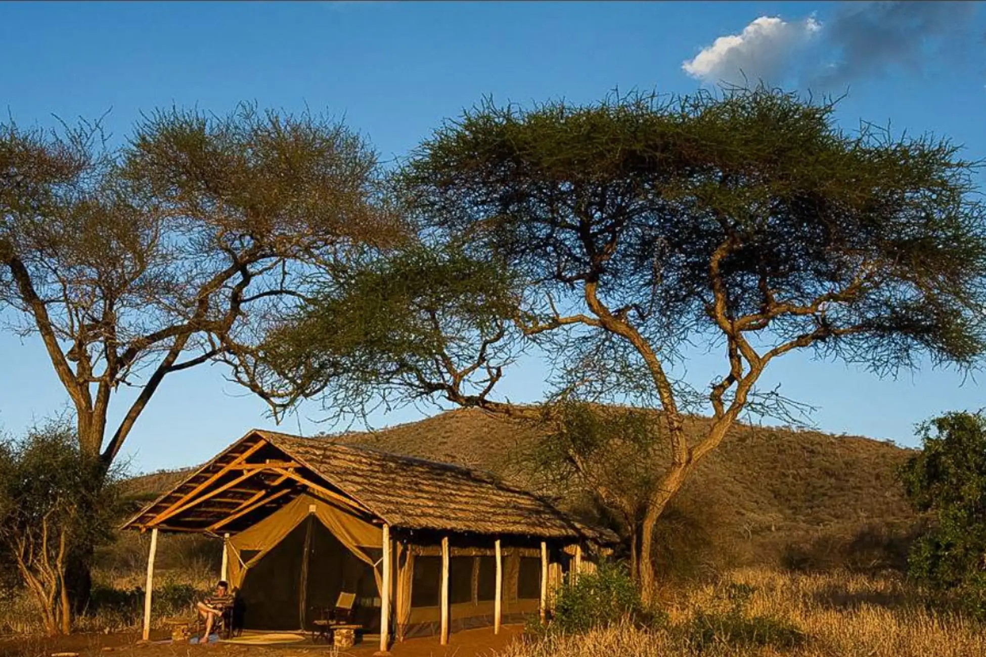 1 Day Safari to Mkomazi National Park