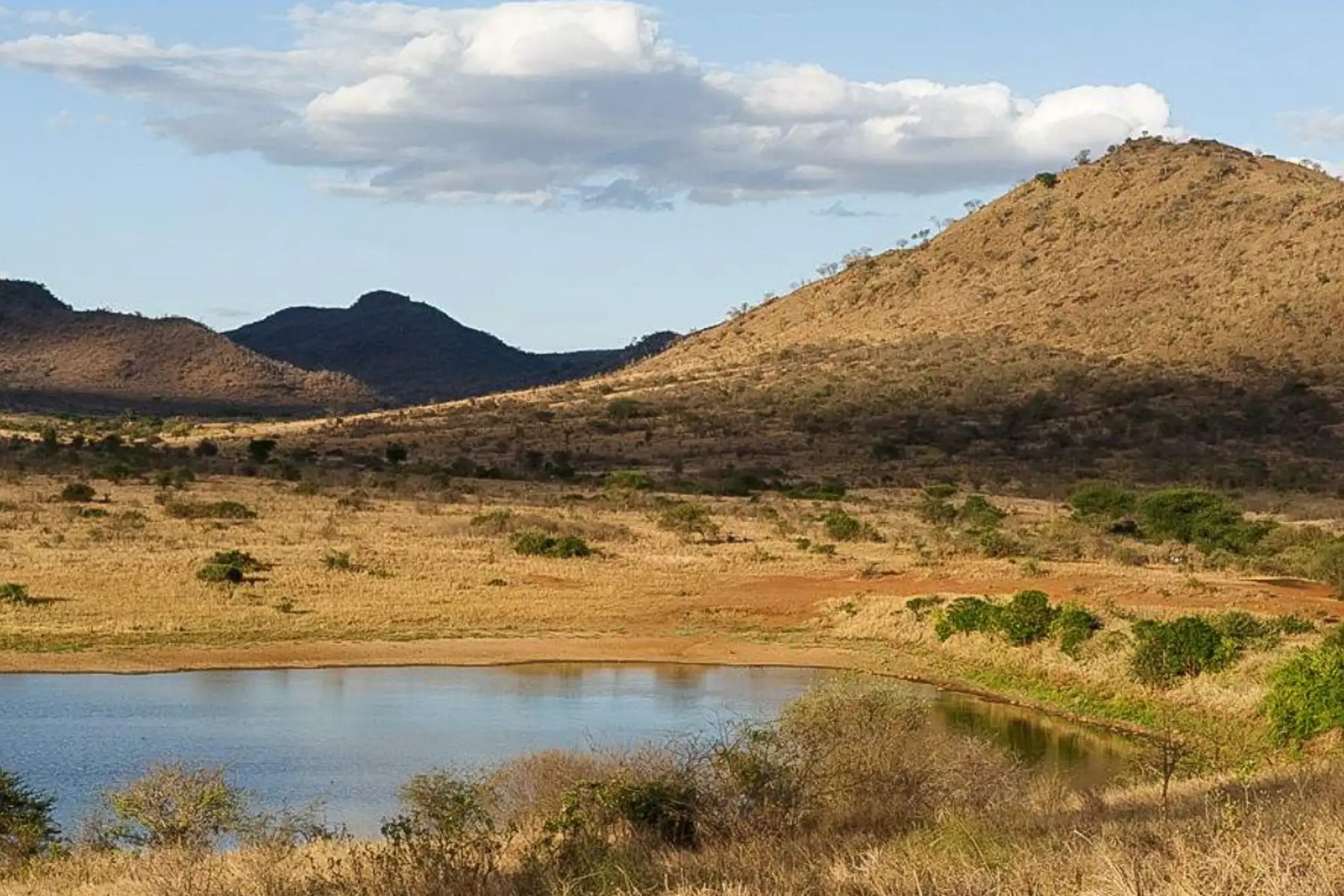 1 Day Safari to Mkomazi National Park