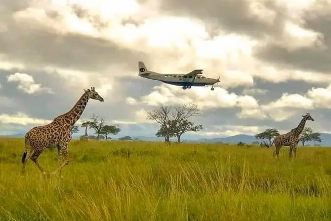 Nyerere National Park Safari Day 3 final explorations and departure