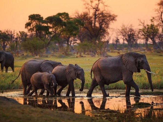 Tanzania Safari landscape with wildlife