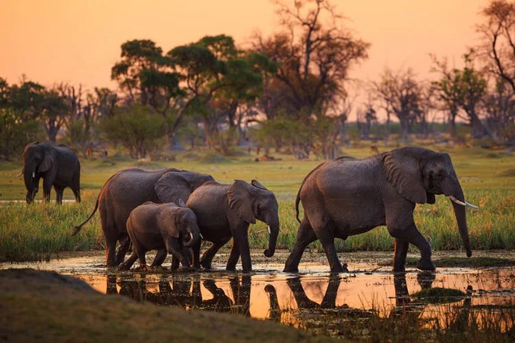 4 Days 3 Night Tanzania Safari Package