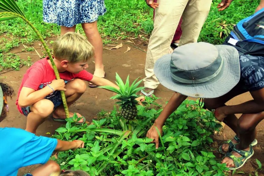 Full Day Spice Farm Prison Island Stone Town 06