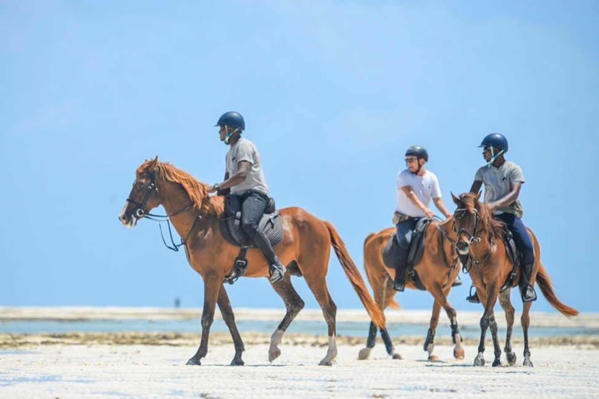 Horse Riders Returning and Refreshing