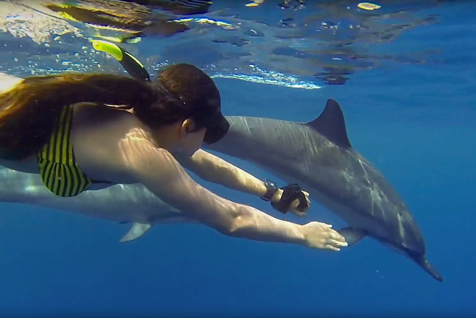 Kizimkazi Dolphins Tour image 3