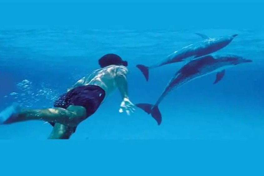 Kizimkazi Dolphins Tour image 5