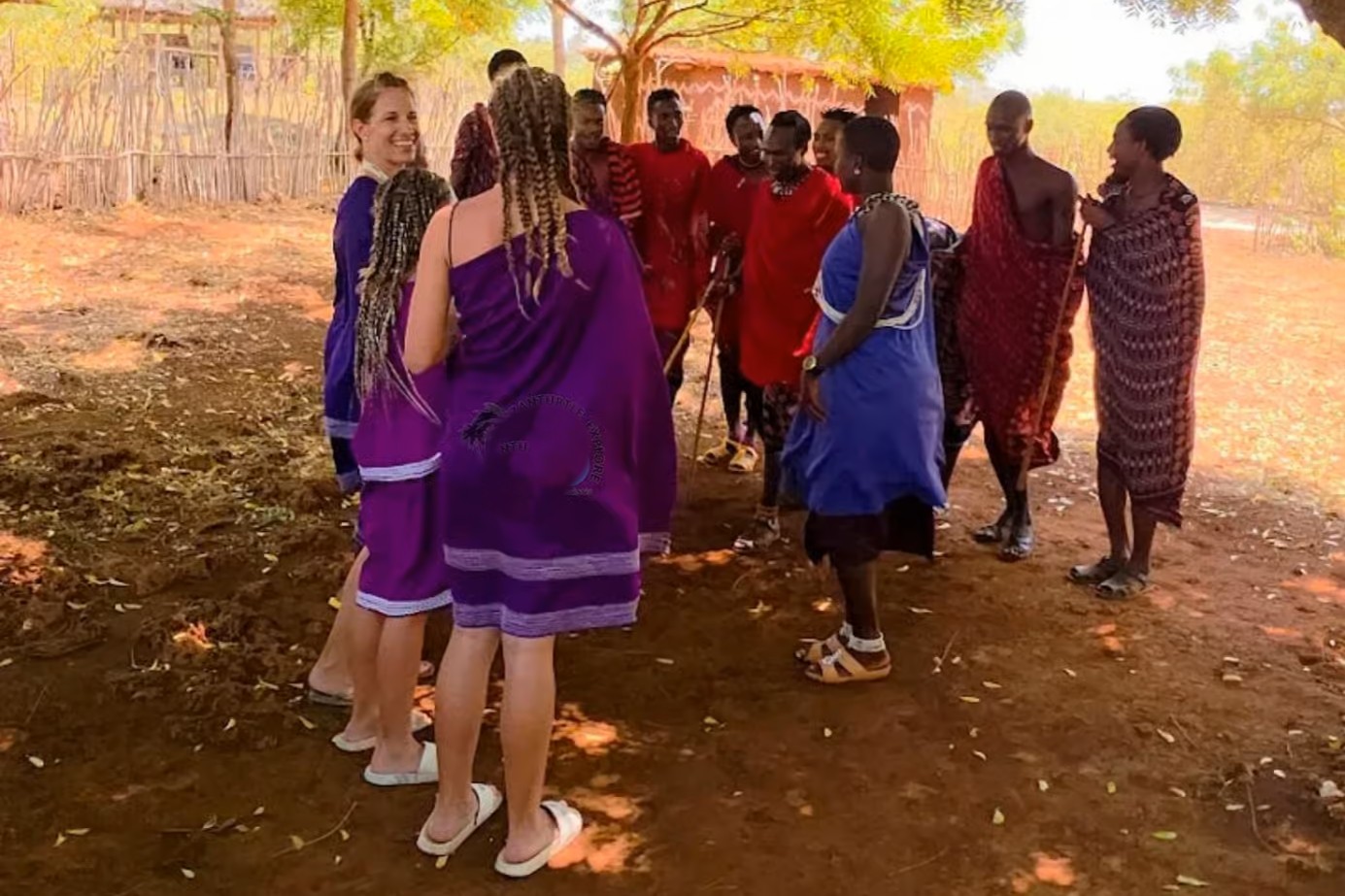 Maasai Village Experience image 4