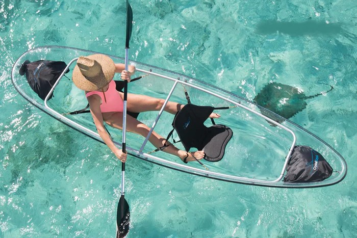 Image of Mangrove Kayaking with Lunch