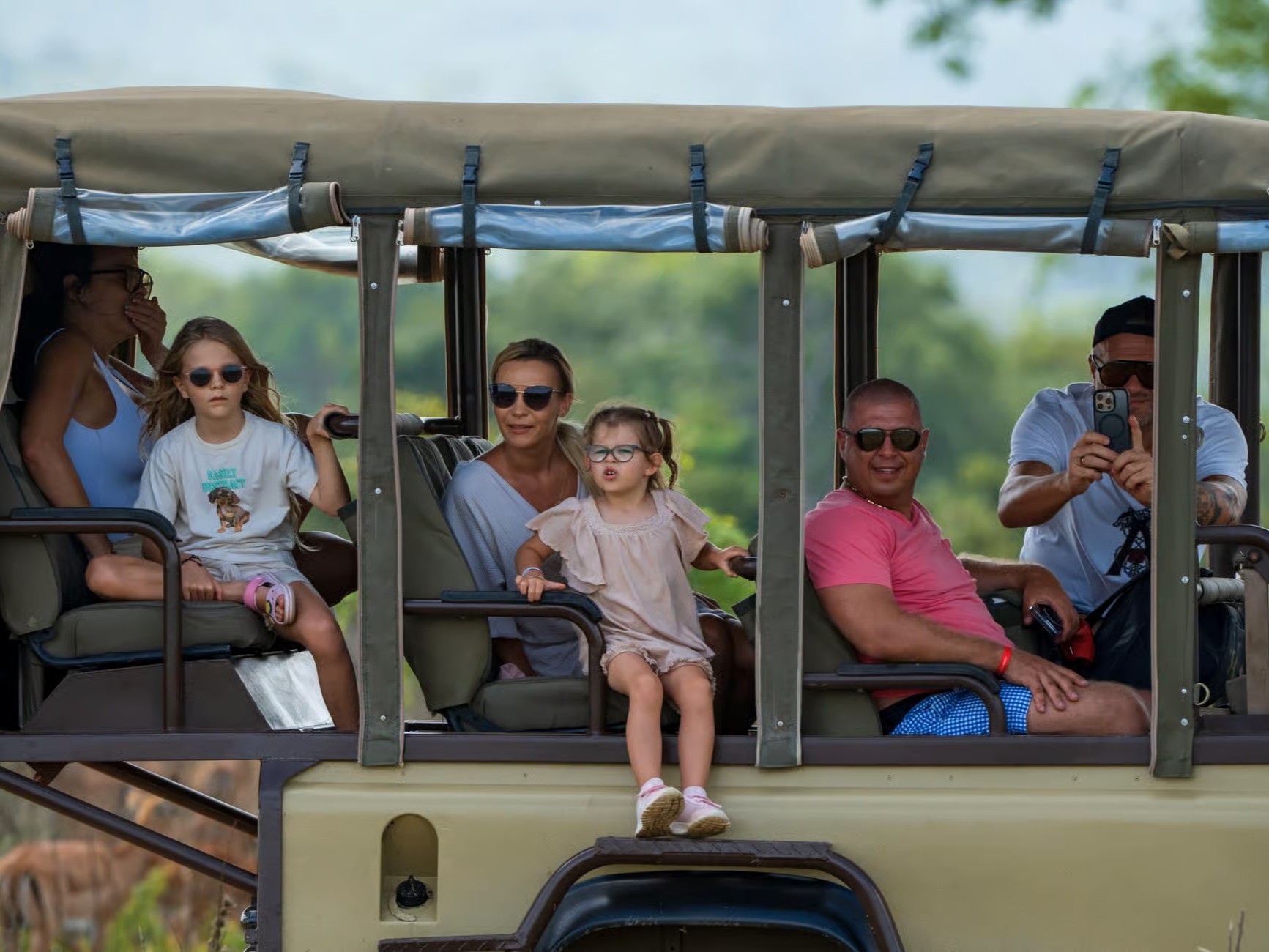Mikumi National Park safari animals and landscape