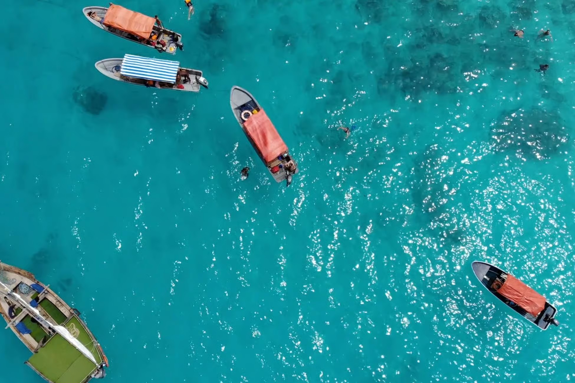 Image of Mnemba Island Dolphins & Snorkeling