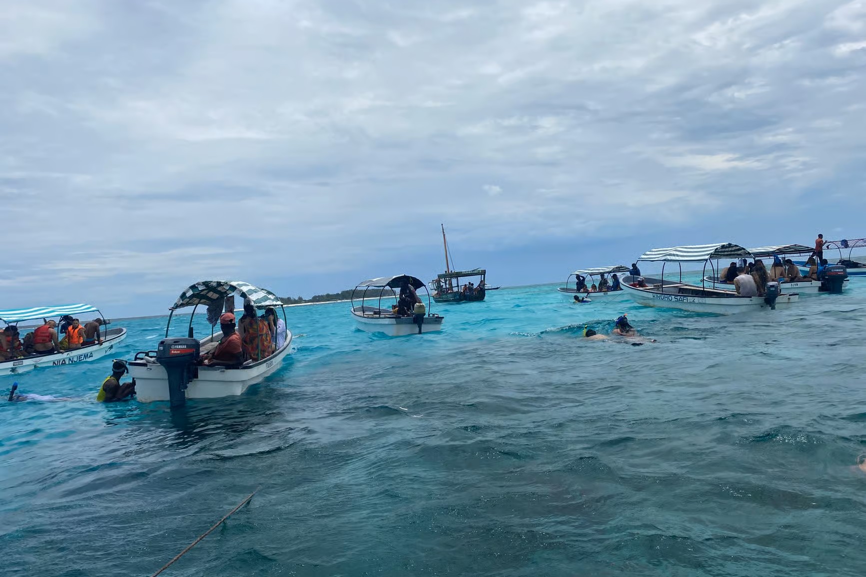 Mnemba Island Dolphins Snorkeling 02