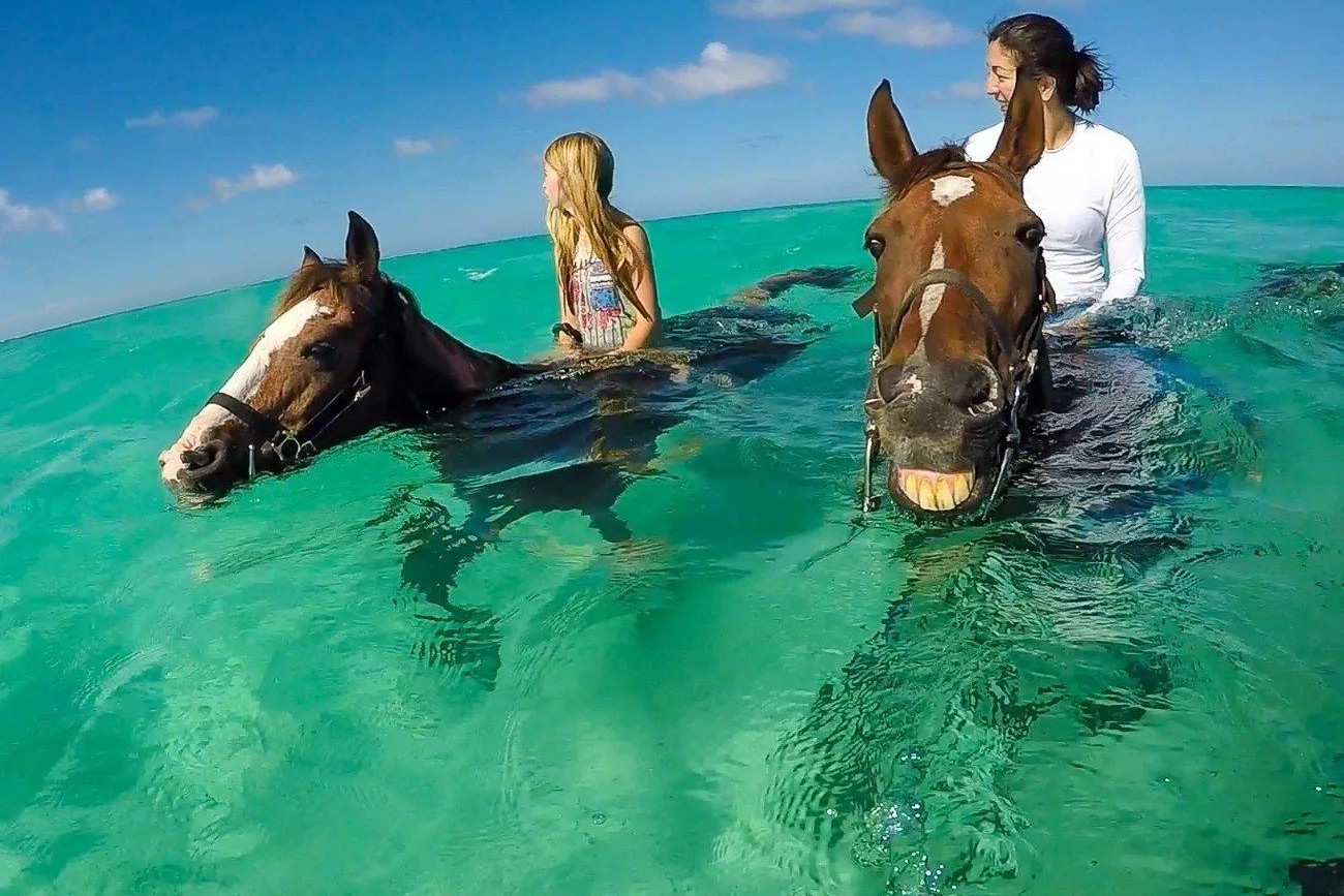 Nungwi Beach Swim with the Horses image 2