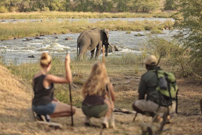 Selous Day Trip Safari From Zanzibar