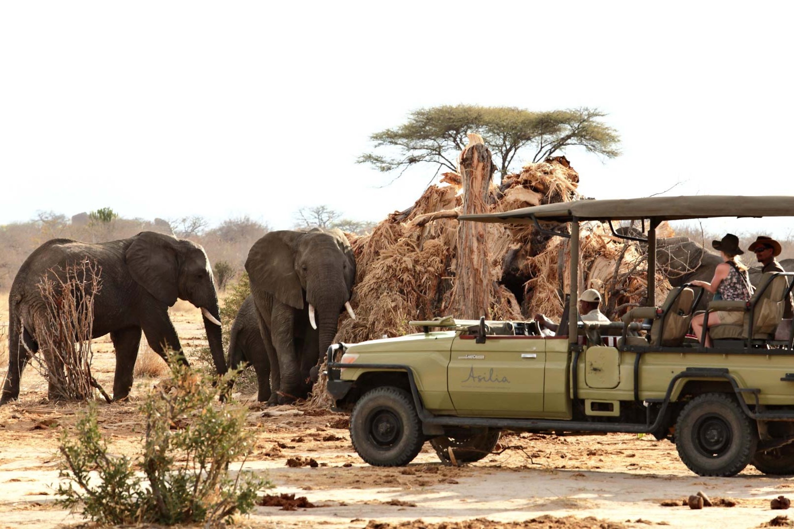 Selous Day Trip Safari From Zanzibar