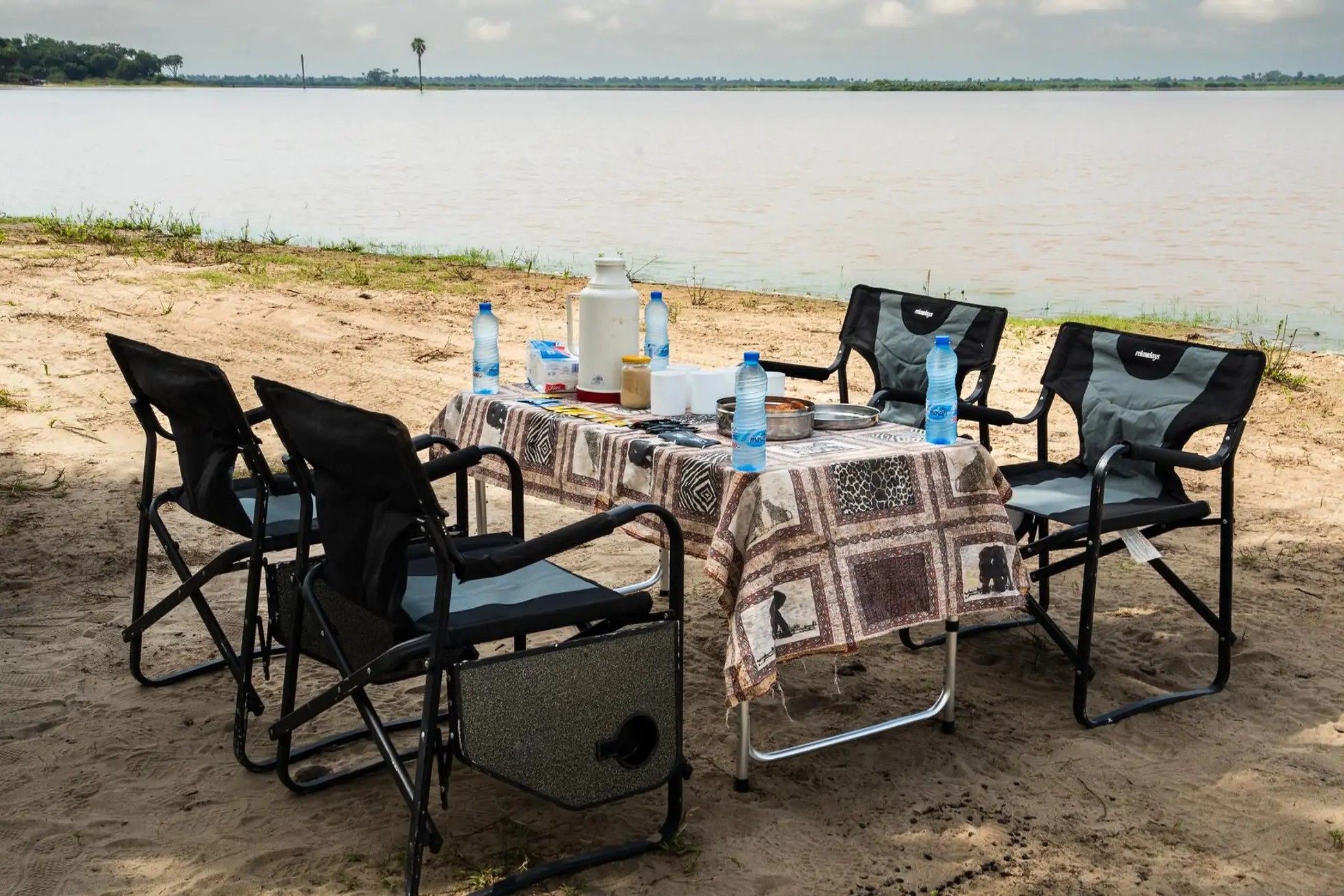 Selous Day Trip Safari From Zanzibar