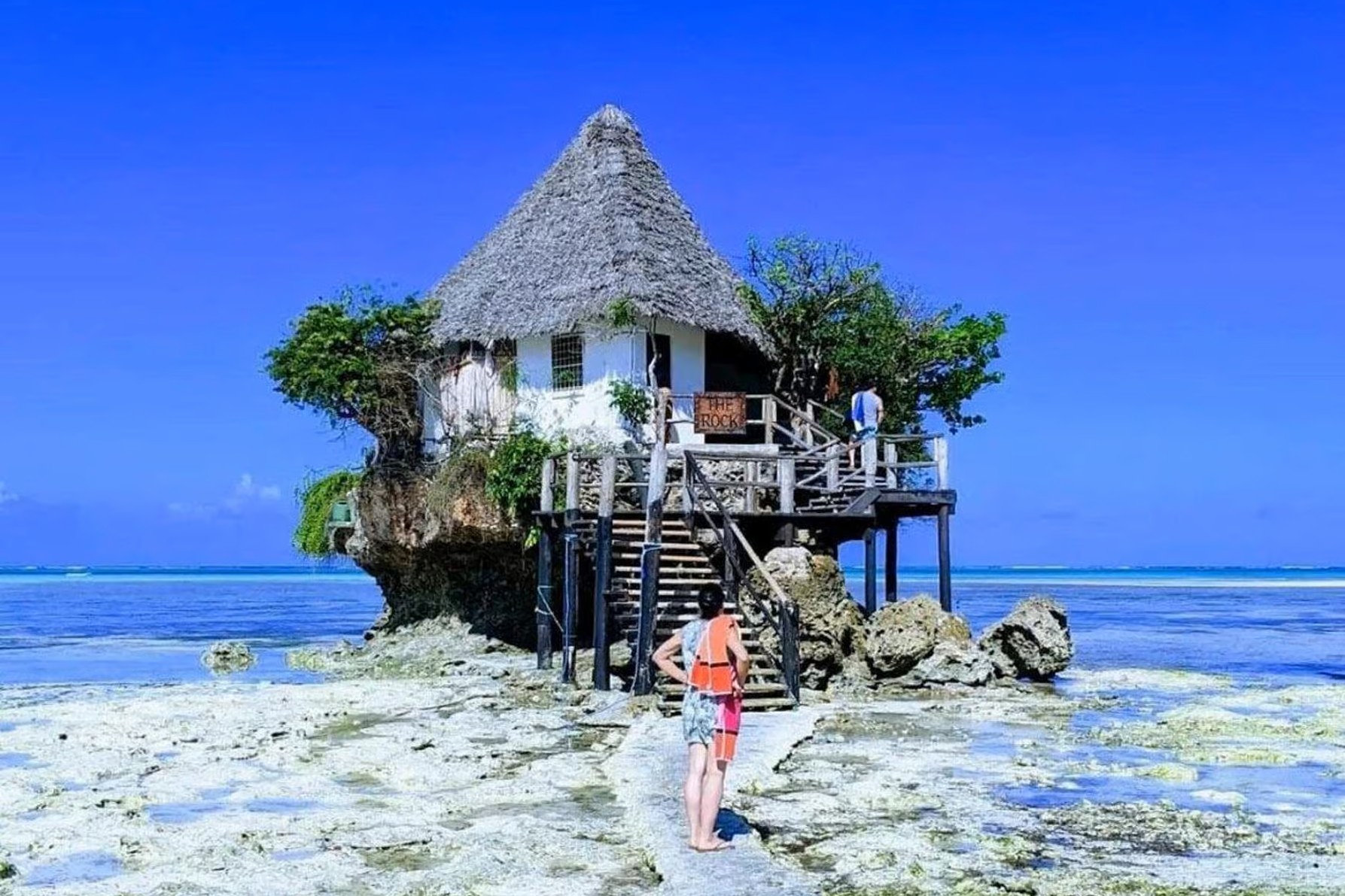 Image of Snorkeling & Lunch at the Rock Restaurant