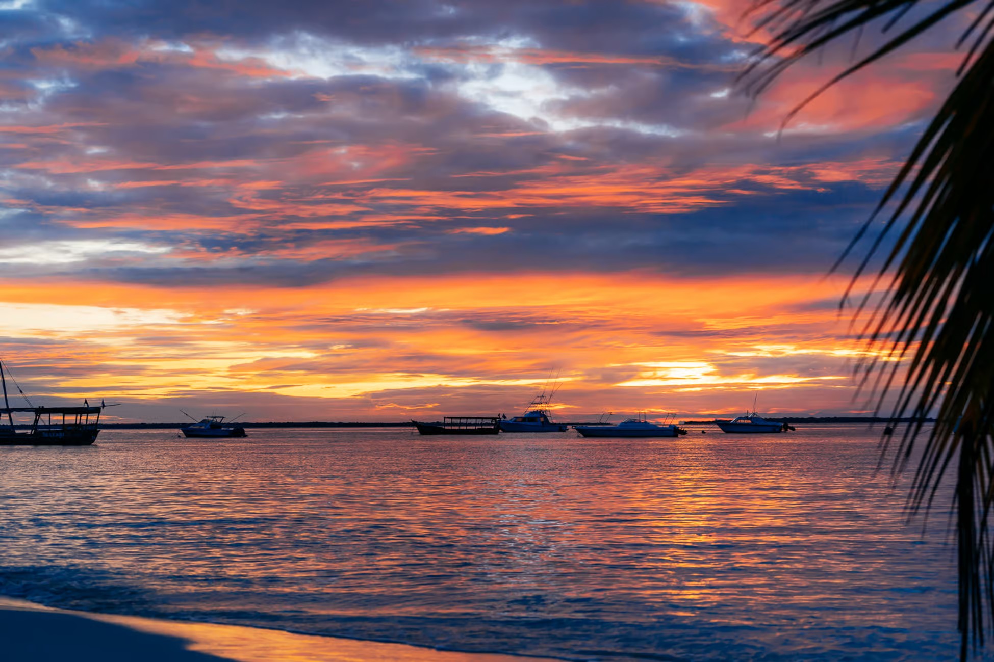 Stone Town Sunset Dhow Cruise image 4