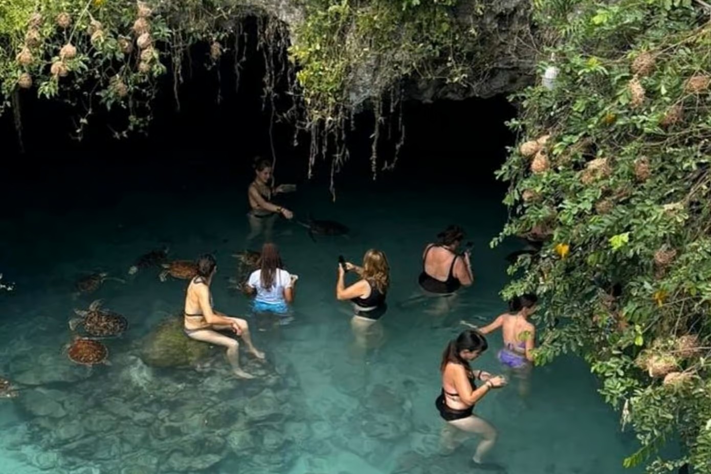 Turtles Aquarium and Salaam Cave image 2