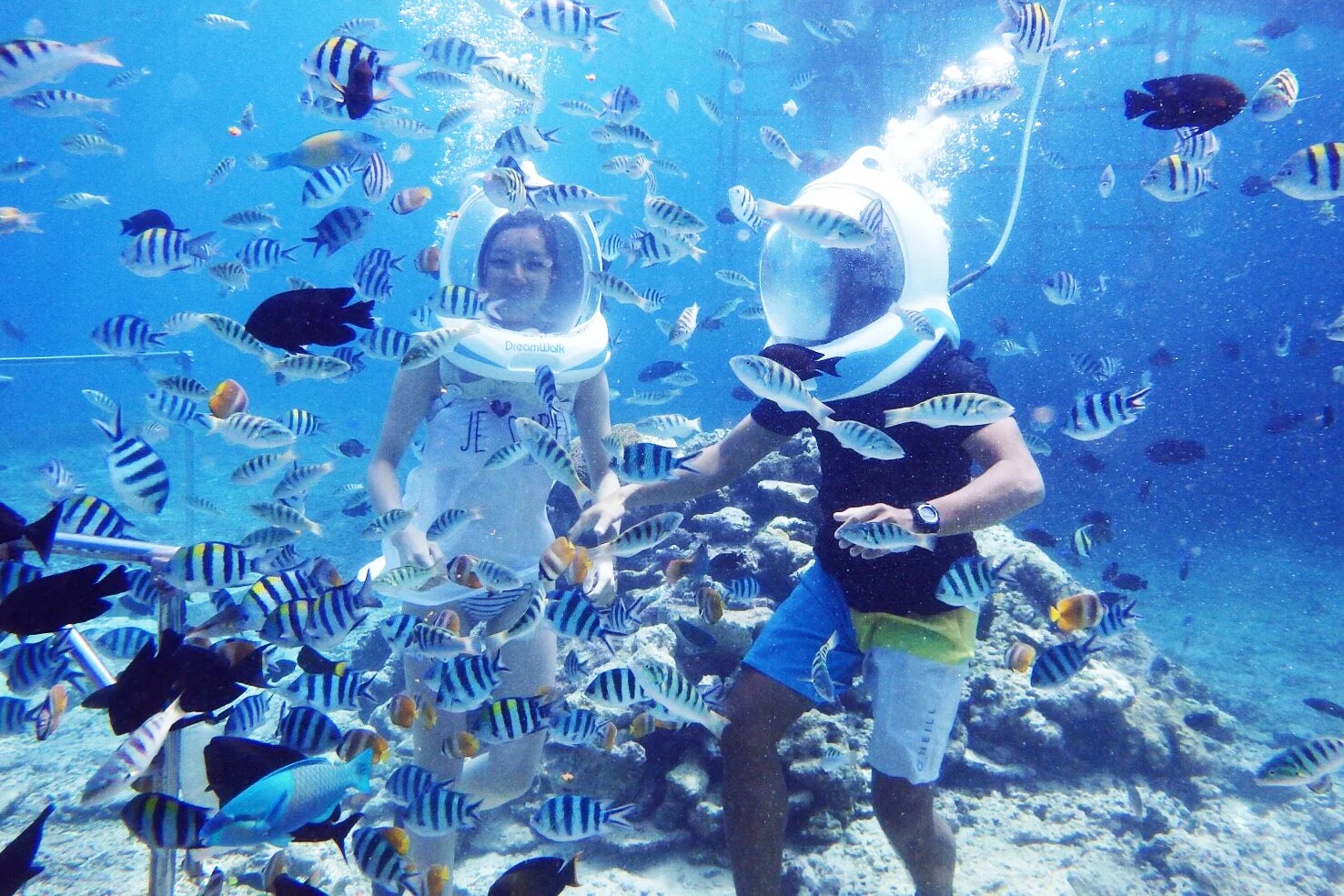 Zanzibar Sea Walk Tour image 2