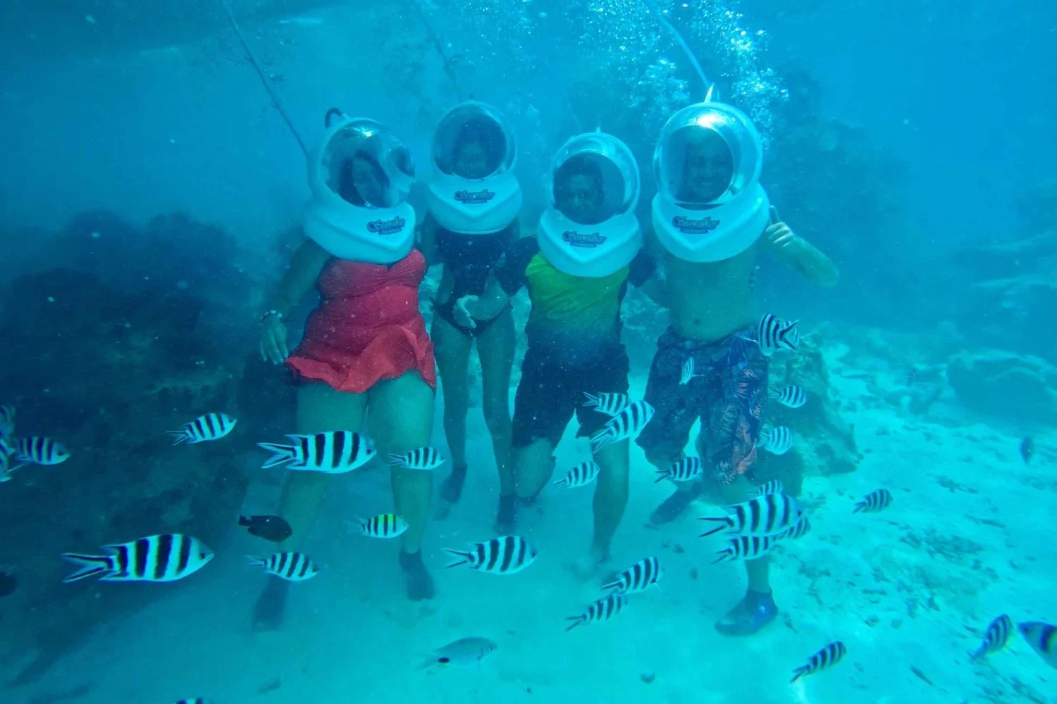 Zanzibar Sea Walk Tour image 3